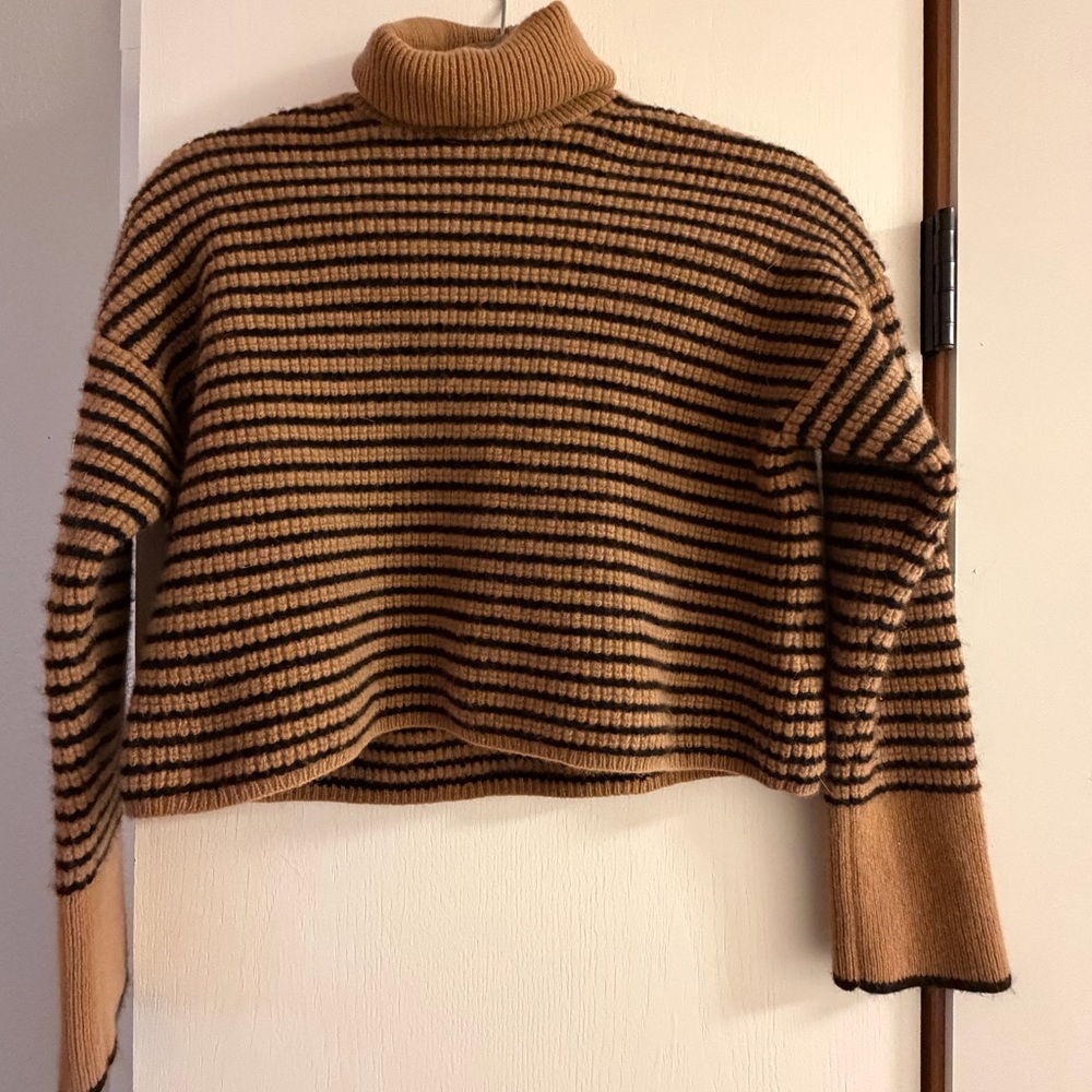Madewell Camel and Black Striped Turtleneck Sweater
